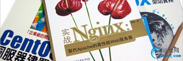 nginx-virtual-host.jpg