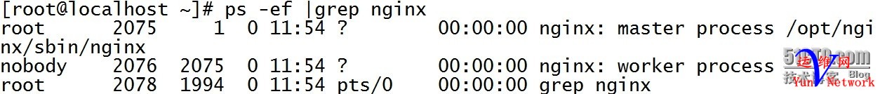 152338865.jpg