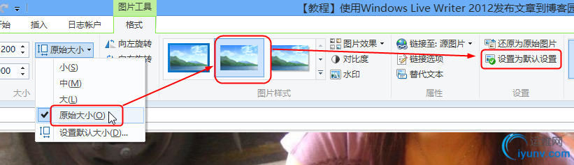 DSC00015.png