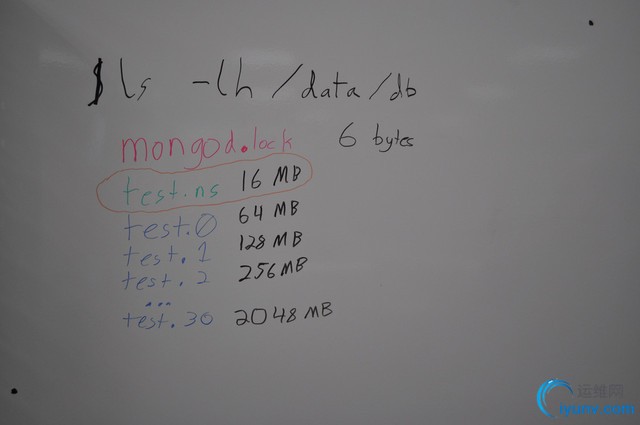 DSC00014.jpg