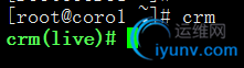 DSC00019.png