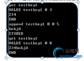 DSC0009.png