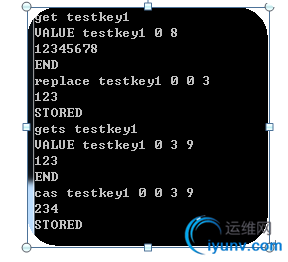 DSC0007.png