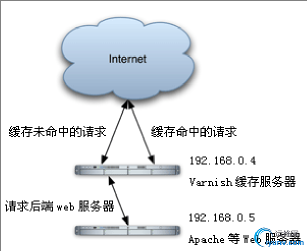 DSC0007.png