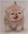 DSC00016.jpg