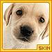 DSC00011.jpg