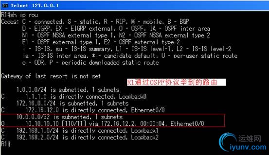 DSC0001.gif