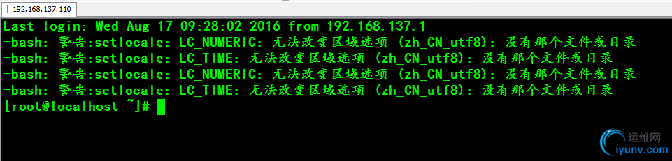 你打开就出现这个bash