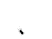 DSC0000.gif