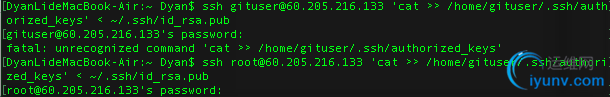 DSC0007.png