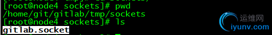DSC0004.png