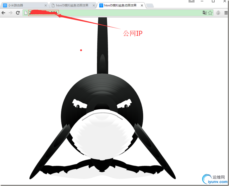 DSC00034.png