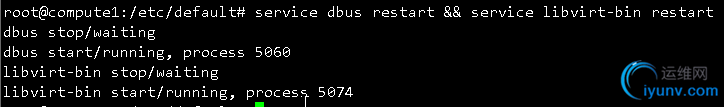 DSC00024.png