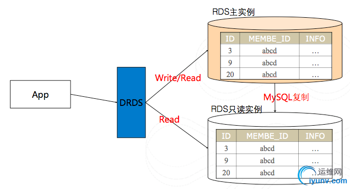 DSC0005.png