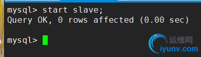 4578.jpg
