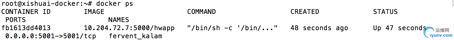DSC0007.png
