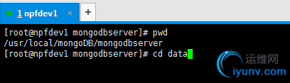 DSC0004.png