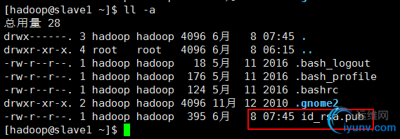 DSC00010.png