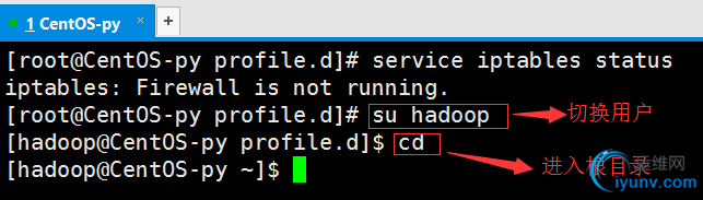 DSC00019.png