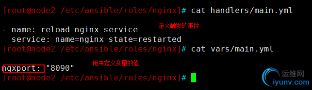 DSC00013.png