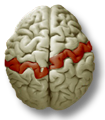 DSC0008.png
