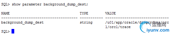 DSC00011.png