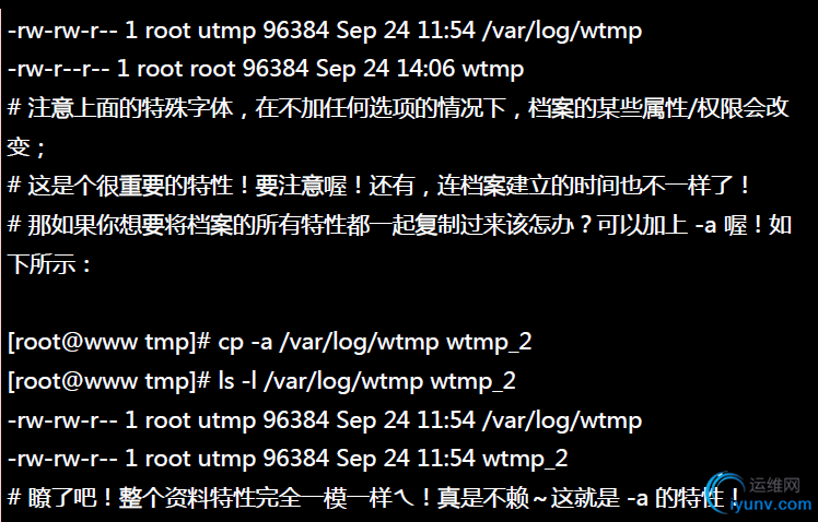DSC00027.png