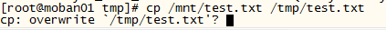 DSC00010.png