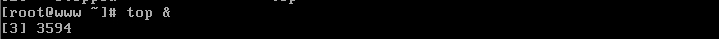 DSC0009.jpg