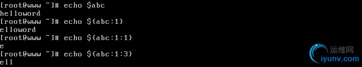 DSC00022.jpg