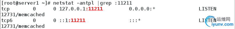 DSC00028.png