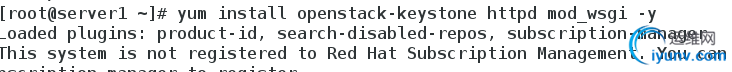 DSC00031.png