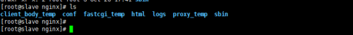 DSC00038.png