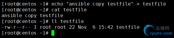 DSC00031.png