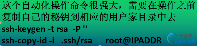 DSC0000.jpg