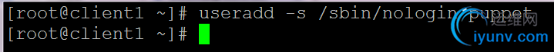 DSC00037.png
