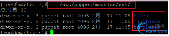 DSC00056.png