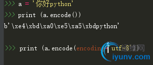 DSC00034.png