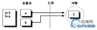 DSC0002.jpg