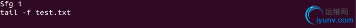 DSC00010.jpg
