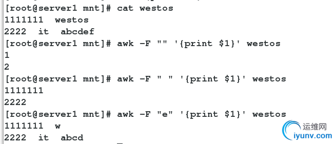 DSC00018.png