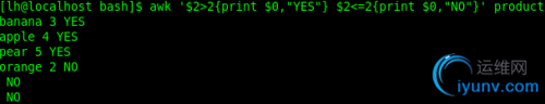 DSC00010.png