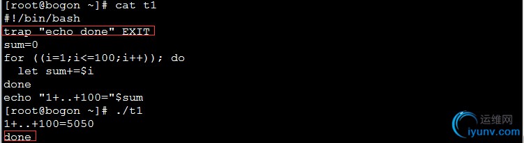 DSC00015.jpg