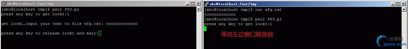 DSC0000.gif