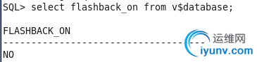 DSC0005.png