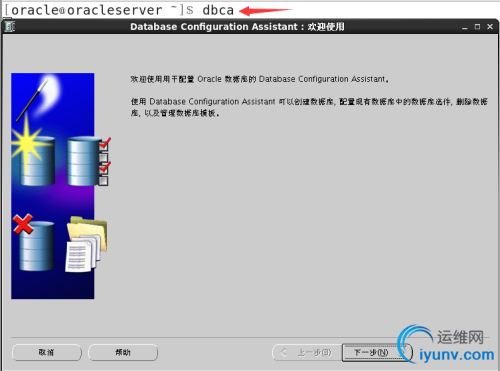 DSC00049.png