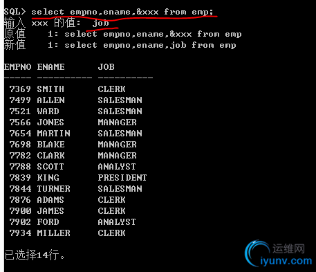 DSC0001.png