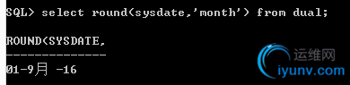 DSC0007.png