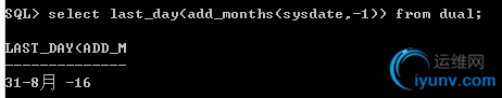 DSC00024.png