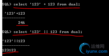 DSC0004.png